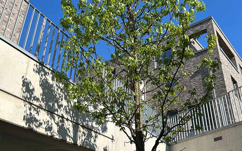 evohaus stadtquartiere koeln dammfelde ansicht 7 - evohaus